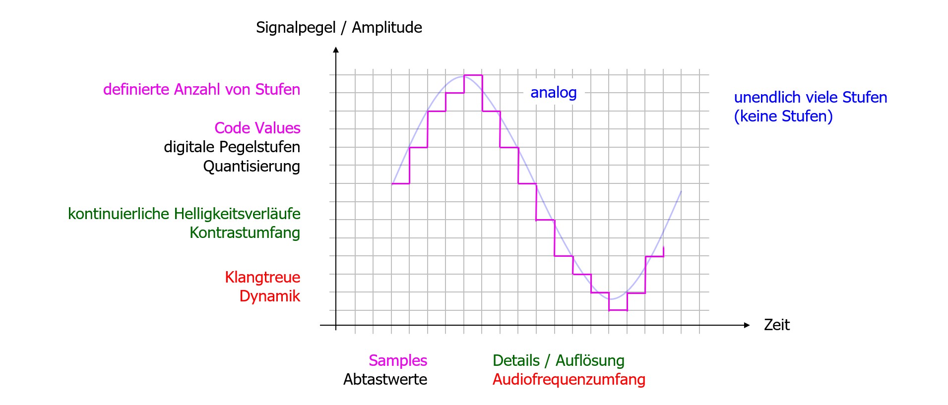 Analog/Digital-Wandlung